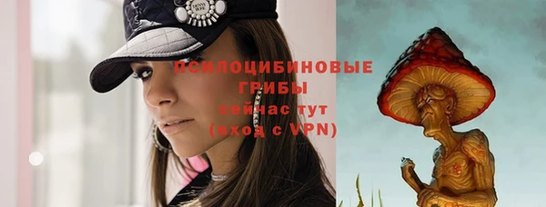 Альфа ПВП Вязьма