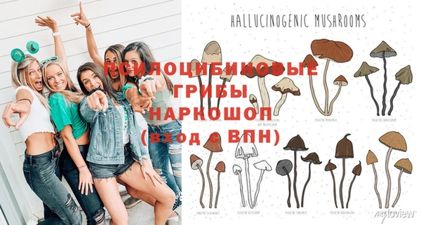 Альфа ПВП Вязьма