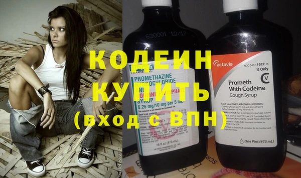скорость Вяземский
