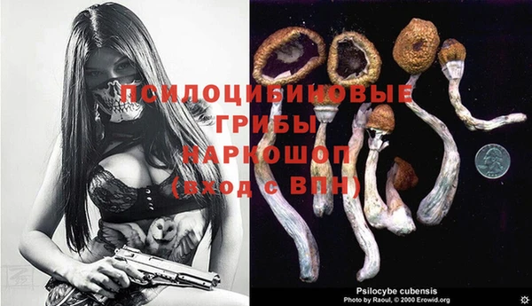Альфа ПВП Вязьма