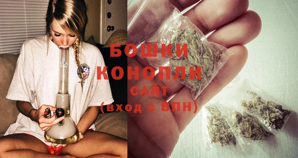 скорость Вяземский