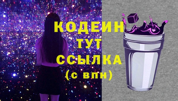 скорость Вяземский