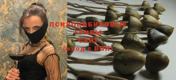 Альфа ПВП Вязьма