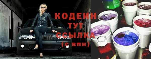 скорость Вяземский