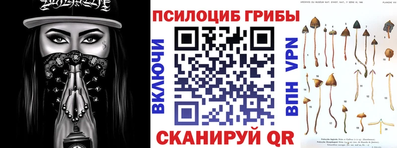 купить наркоту  Братск  Псилоцибиновые грибы прущие грибы 